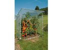 Ersatzclips zu Tomaten- u. Folienhaus 0715.010 + .020, Set à 12 Stk, D19mm