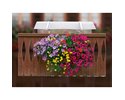 Neoflor-Balconia Schutzdach 100 cm für Kistli / pour bacs de 70 - 100 cm