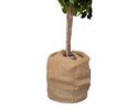 Jutesack, natur, 230g/m2 B 60 x H 80 cm