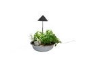 SUNLiTE Grau