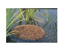 AquaActiv AquaHumin, 10 l Beutel
