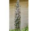Pflanzenrankgitter Metall 16x32x180 cm, Noble rost