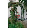 Rosenbogen T-Stahl "Lena" carb.schwarz H 240 x B 140 cm