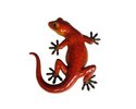 Gecko orange 18 x 18 x 4 cm