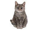 Katze Tabby, sitzend 24.5 x 20 x 29.5 cm
