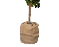 Jutesack, natur, 230g/m2 B 60 x H 80 cm