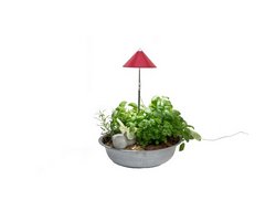 SUNLiTE Rot