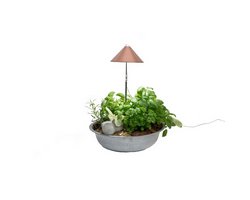 SUNLiTE Kupfer