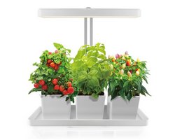 Indoor Garden 20W 45x19x47.5 cm, ohne Töpfe
