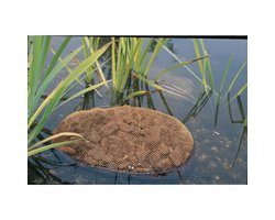 AquaActiv AquaHumin, 10 l Beutel