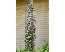 Pflanzenrankgitter Metall 16x32x128 cm, Noble rost