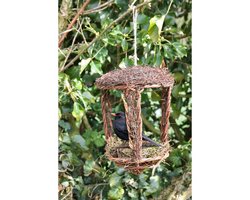 Vogelnest offen