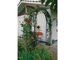 Rosenbogen T-Stahl "Lena" carb.schwarz H 240 x B 140 cm
