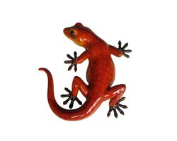 Gecko orange 18 x 18 x 4 cm