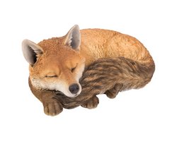 Fuchs schlafend