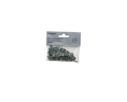 Nägel Bardoline/Dachpappe Sack à 100 Stk., Länge 20 mm