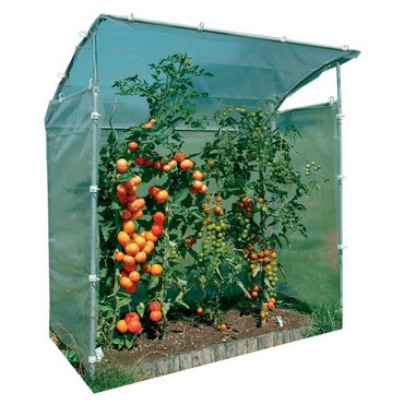 Tomatenhaus L161 x B80 x H138/180 cm 