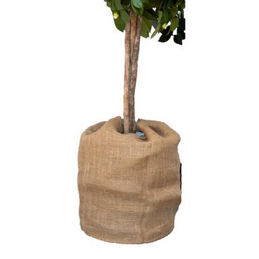 Jutesack, natur, 230g/m2 B 60 x H 80 cm 