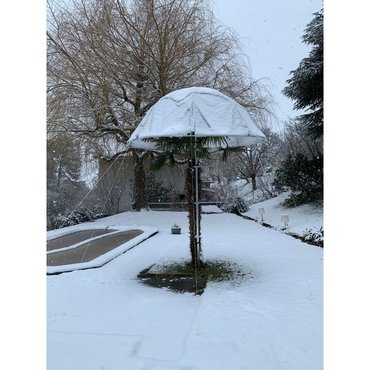 Palmenhut Basic Ø 280 x H 112-520 cm 