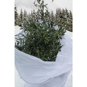 Winterschutzhaube POP-UP L D90 x 120 cm - 80g/m2 