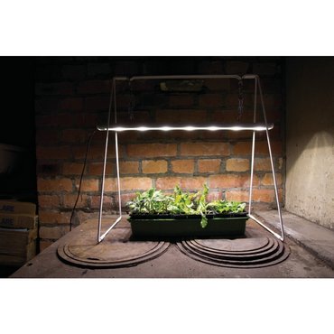Growlight Duo LED 