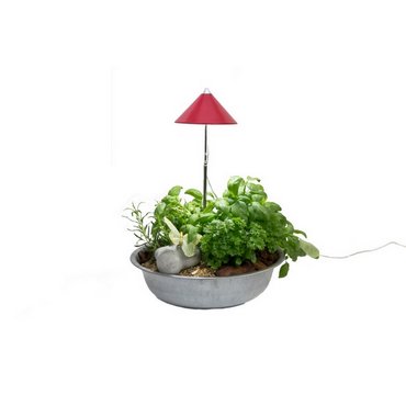 SUNLiTE Rot 