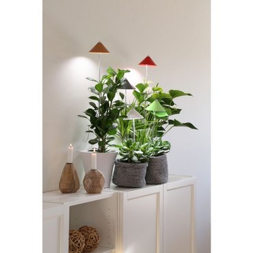 SUNLiTE Rot 