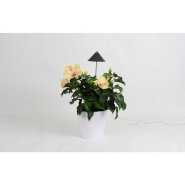 SUNLiTE Grau 