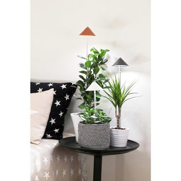 SUNLiTE Grau 