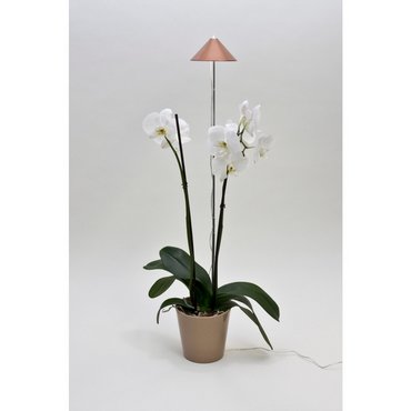 SUNLiTE Kupfer 
