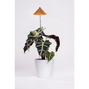 SUNLiTE Kupfer 