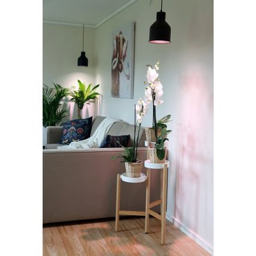 Lampenschirm SAGA in kupfer E27, 4m Kabel, ohne Leuchtkörper 