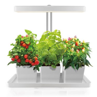Indoor Garden 20W 45x19x47.5 cm, ohne Töpfe 