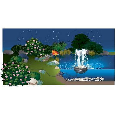 Water Starlet 