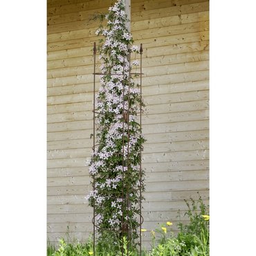 Pflanzenrankgitter Metall 16x32x180 cm, Noble rost 