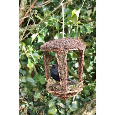 Vogelnest offen 