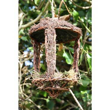 Vogelnest offen 
