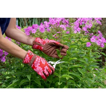 Handschuhe Oak Leaf M/L rot 
