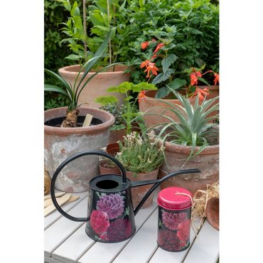 Giesskanne Indoor British Bloom 1 Liter 