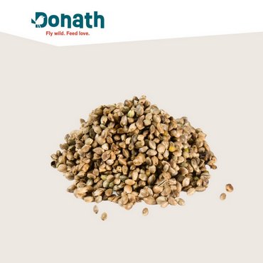 Donath Hanfsaat 1kg 