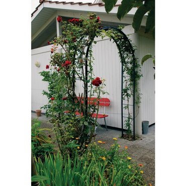 Rosenbogen T-Stahl "Lena" carb.schwarz H 240 x B 140 cm 