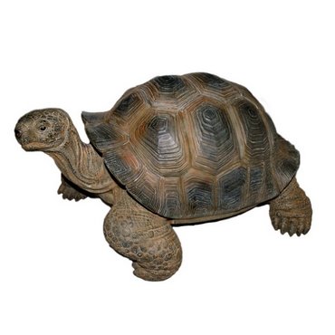 Schildkröte, dunkelbraun 30.5 x 23 x 17.5cm 