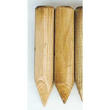 Palisade angespitzt grün 75 / 8 cm 