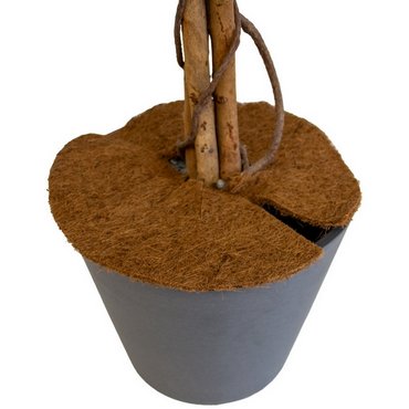 Kokosscheibe mit Loch D30cm 750g/m2 Inhalt 3 Stk. 