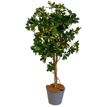 Kokosscheibe mit Loch D40cm 750g/m2 Inhalt 3 Stk. 